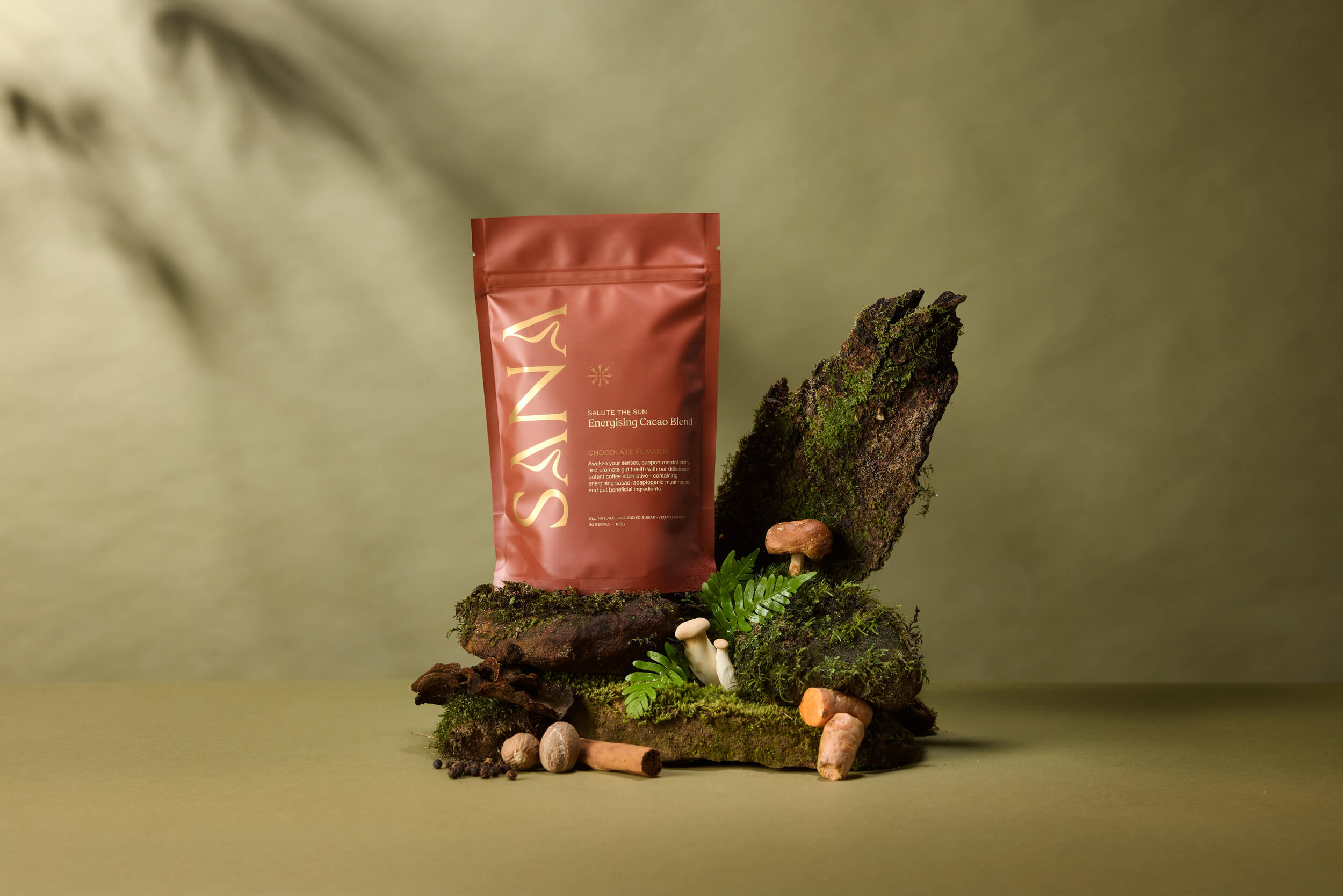 Sana Well - Salute the Sun